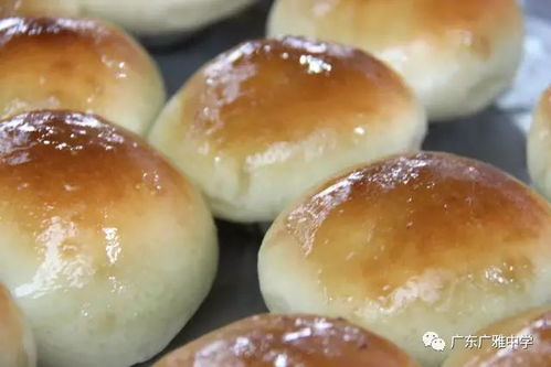 廣雅食堂榮獲食品安全A級認定并開展豐富歌舞活動，打造安全與活力校園環境